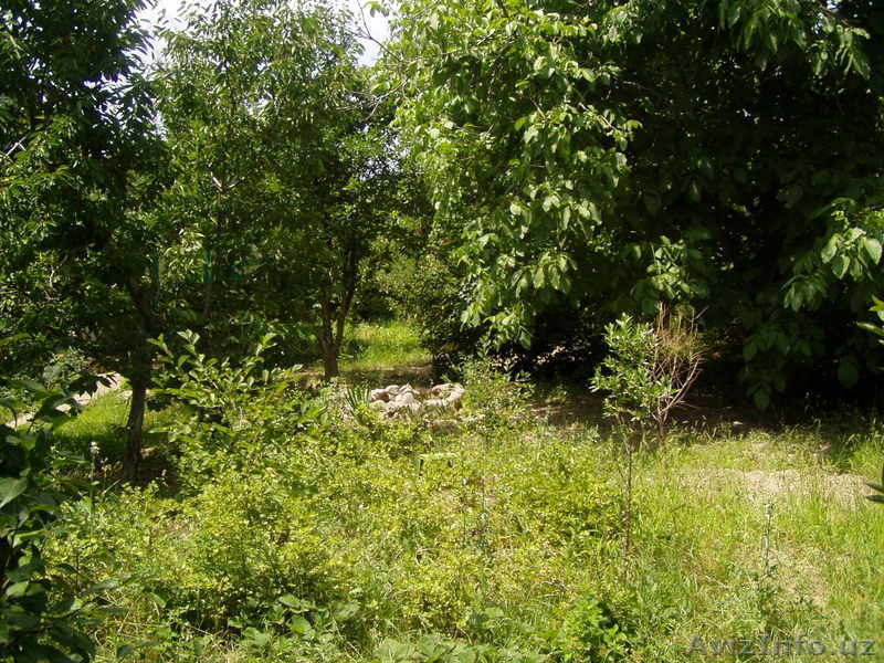 продам дачу паркентском районе - Изображение #1, Объявление #912727