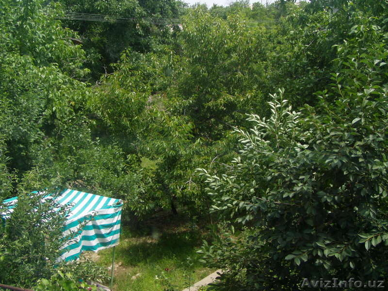 продам дачу паркентском районе - Изображение #2, Объявление #912727