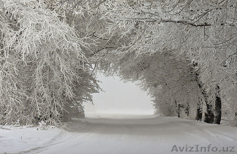 срочно продаю3/2/9 - Изображение #2, Объявление #952044