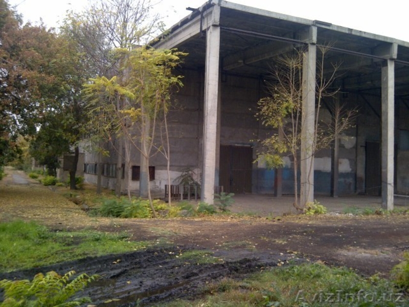 Orange Energy. orangetextile@gmailcom 248 72 72 - Изображение #3, Объявление #997393