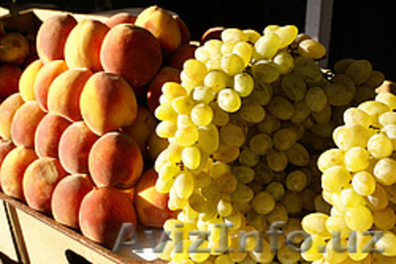 НОВОГОДНИЕ ТУРЫ В УЗБЕКИСТАН - Изображение #5, Объявление #1006161