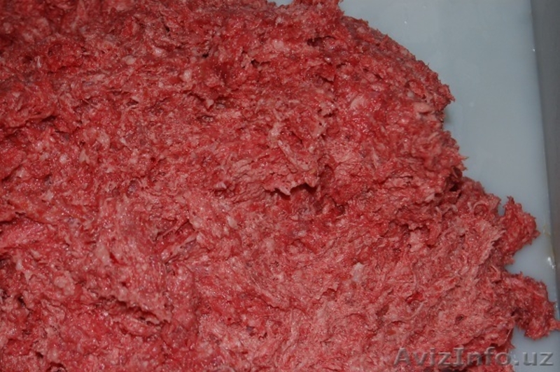 бадера - Польское происхождение - Изображение #3, Объявление #1026607