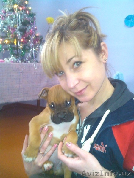 Продаются щенки - Изображение #3, Объявление #1016921