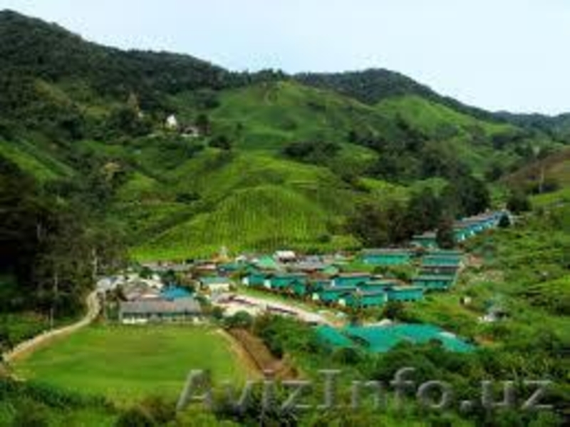 ТУРЫ В МАЛАЙЗИЮ. Туры по всему миру. - Изображение #3, Объявление #1029291