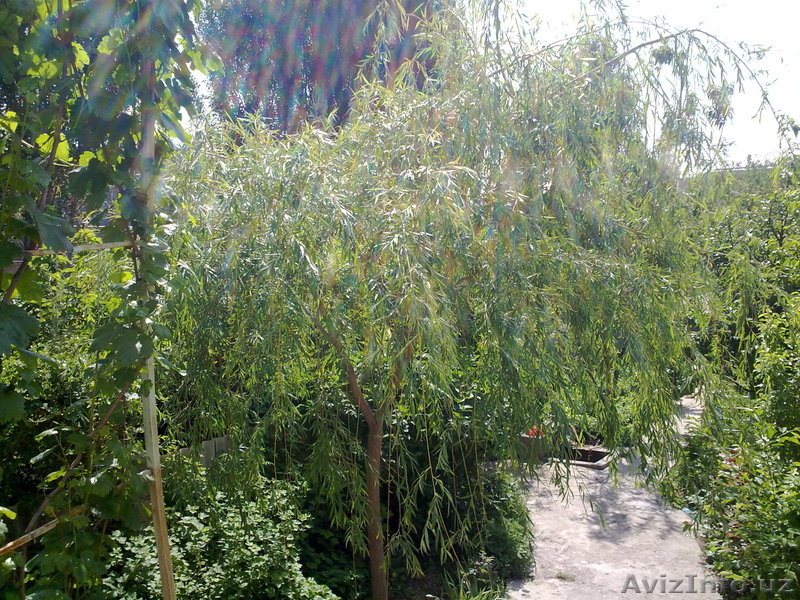 Продам собственный дом на Юнусабаде, 7 комнат, 8 соток - Изображение #2, Объявление #1047420