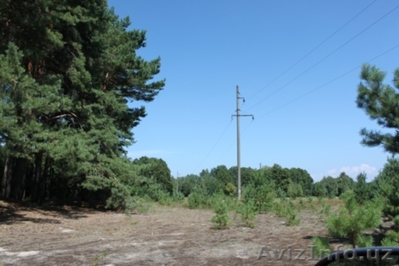 Продажа земельного участка, Украина - Изображение #3, Объявление #1058939