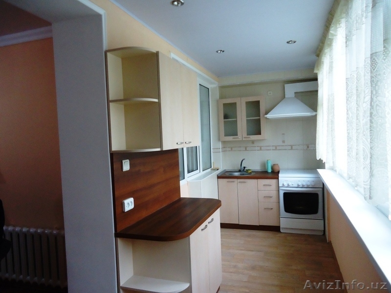 Большая 1 комнатная квартира в центре  - Изображение #5, Объявление #1074820