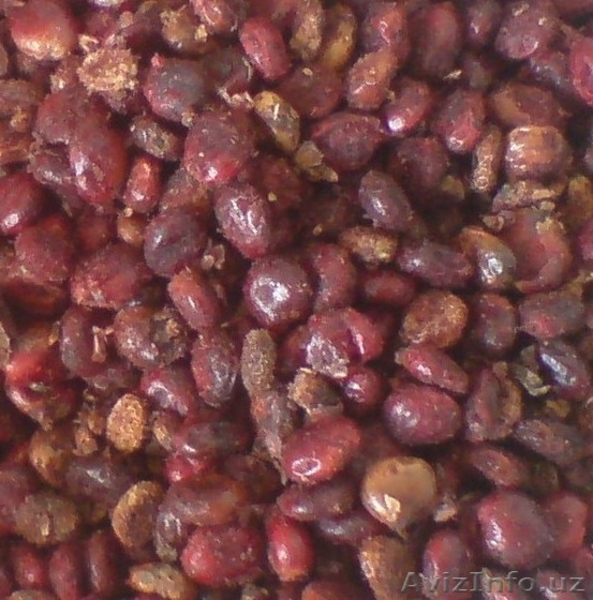 Грузинский лавровый лист, специи и приправы - Изображение #5, Объявление #1094415