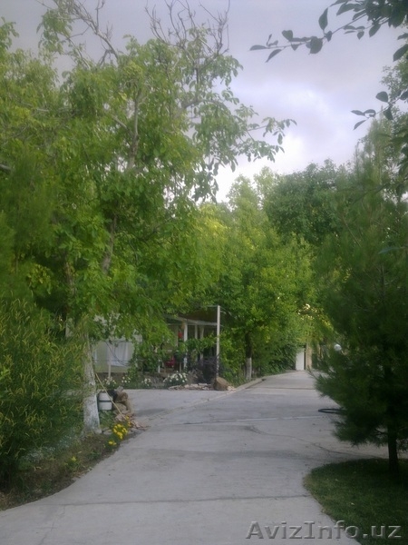 Сдаю свою дачу в аренду! Шикарно, недалеко от г.Ташкента цена приемлима в Ташкен - Изображение #3, Объявление #1105497