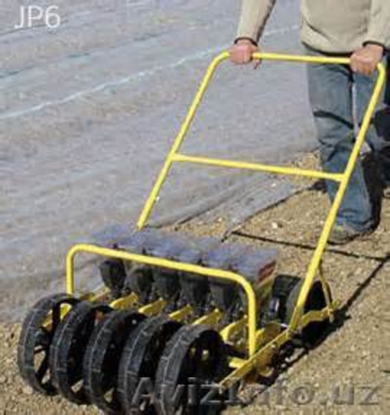 семена лука качество не дорого - Изображение #5, Объявление #1136141