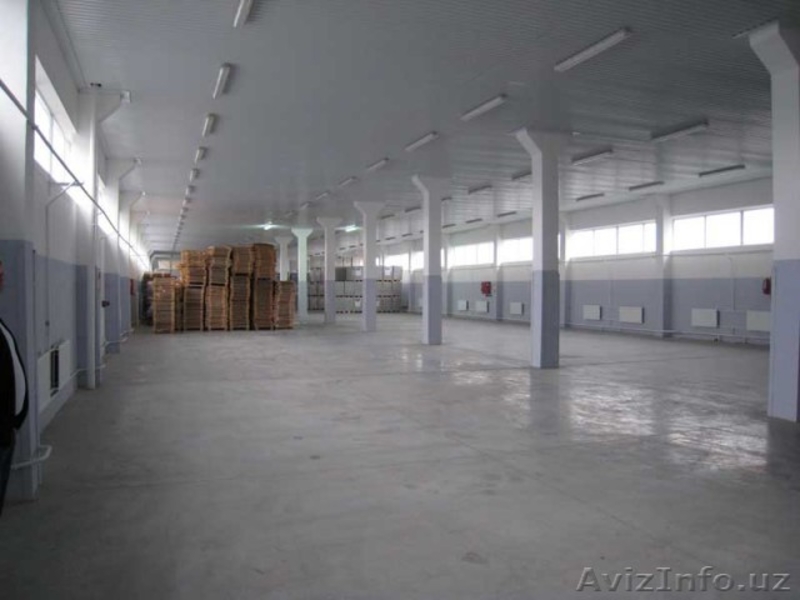 Побелка быстро и качественно. Побелка потолков, побелка стен, побелка мелом,  - Изображение #4, Объявление #1199490