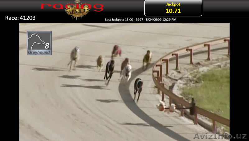 Программное обеспечения букмекерских контор MOHIO - Изображение #3, Объявление #1199480