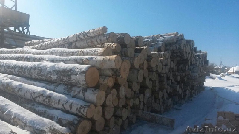 Экспорт качественного пиломатериала - Изображение #3, Объявление #1235021