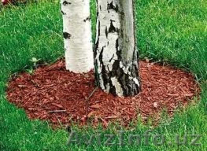 Мульча из древесной щепы - Изображение #3, Объявление #1242774