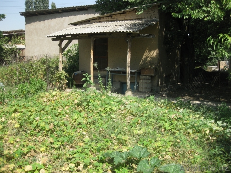 Продаю дом в Ташкентской обл.  - Изображение #6, Объявление #1297581