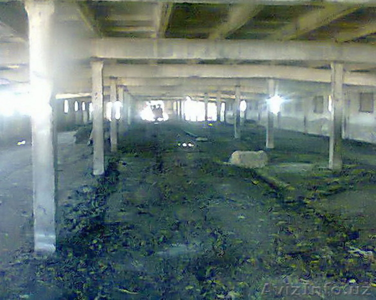 Продаётса фермерское хозяйство - Изображение #3, Объявление #1314620