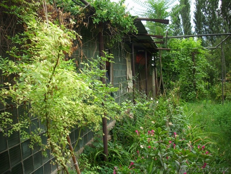 продаю 4участка по 6 сот с домом и хозпостройкой,навес и насосная для воды - Изображение #4, Объявление #1325065