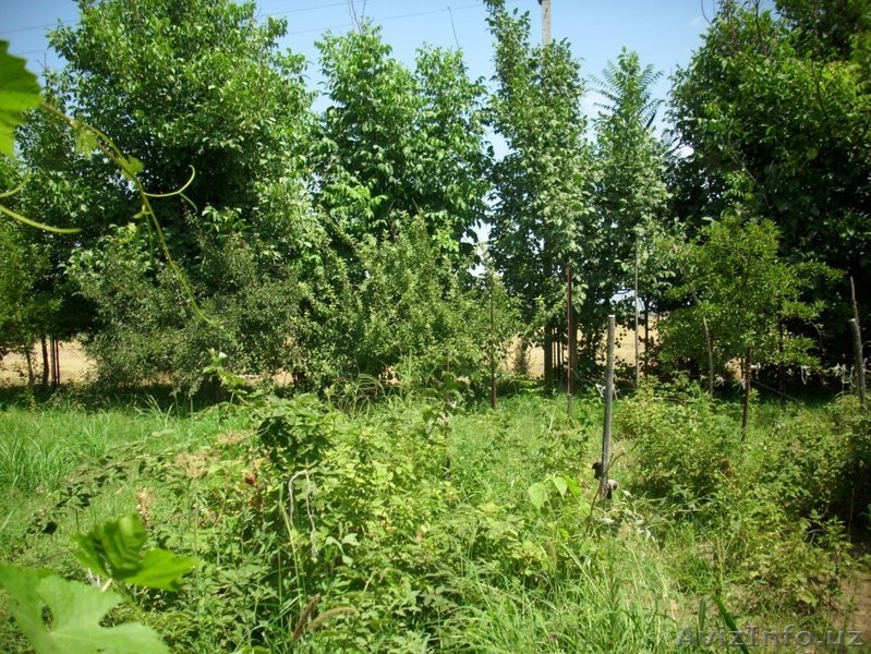 продаю 4участка по 6 сот с домом и хозпостройкой,навес и насосная для воды - Изображение #6, Объявление #1325065