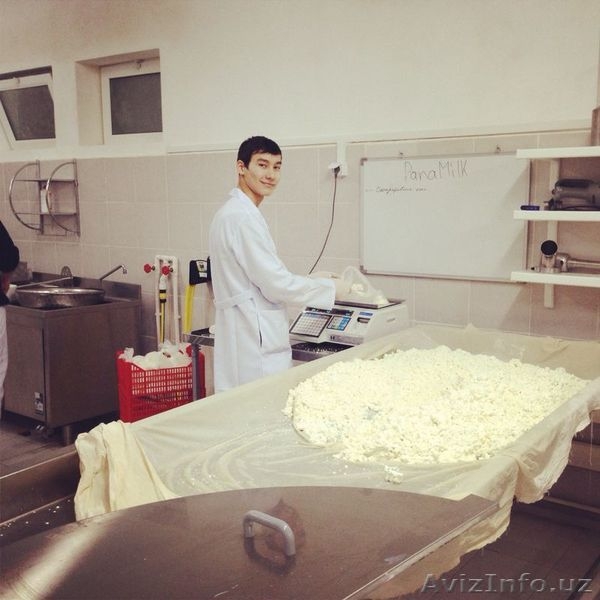 Оборудование для молоко-перерабатывающей промышленности - Изображение #6, Объявление #809100