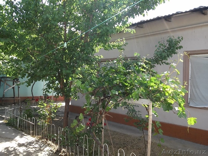 Продается Частный дом (Участок). Ташморе. - Изображение #4, Объявление #1360277