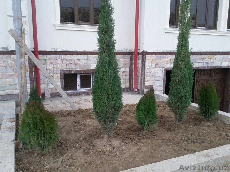 Квартиры. первый и третий этаж. - Изображение #2, Объявление #1356857