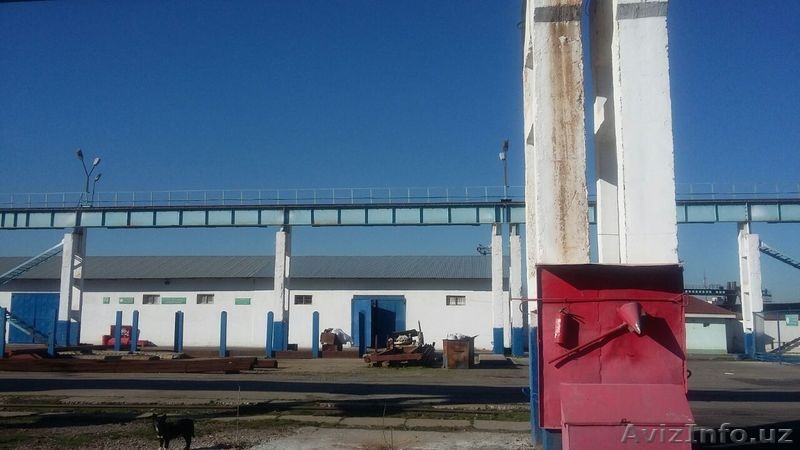 Складские (открытые и закрытые) площади, строительный рынок Джами - Изображение #6, Объявление #1360995