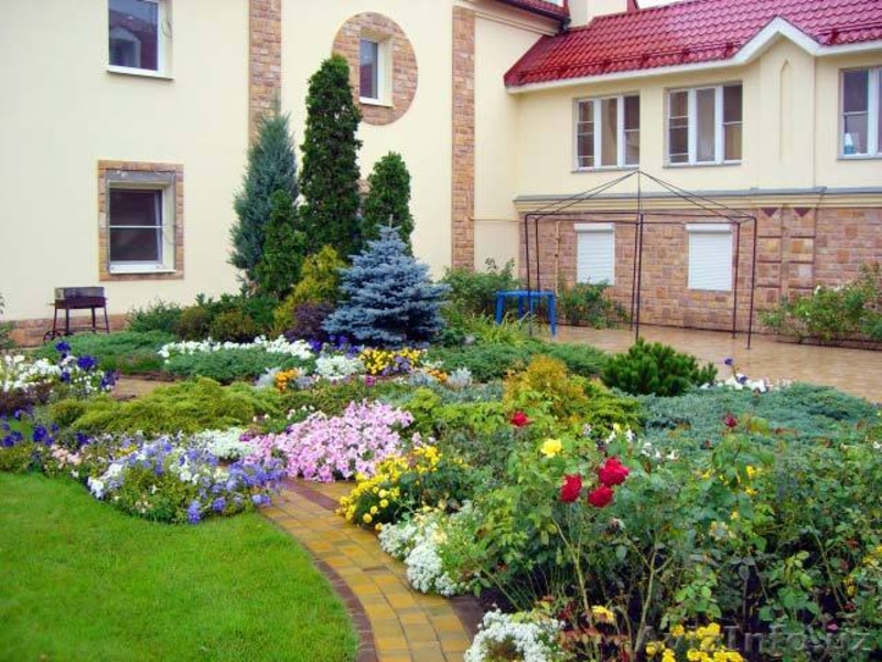 Газоны, озеленение, ландшафтный дизайн Ташкент - Изображение #4, Объявление #1375586