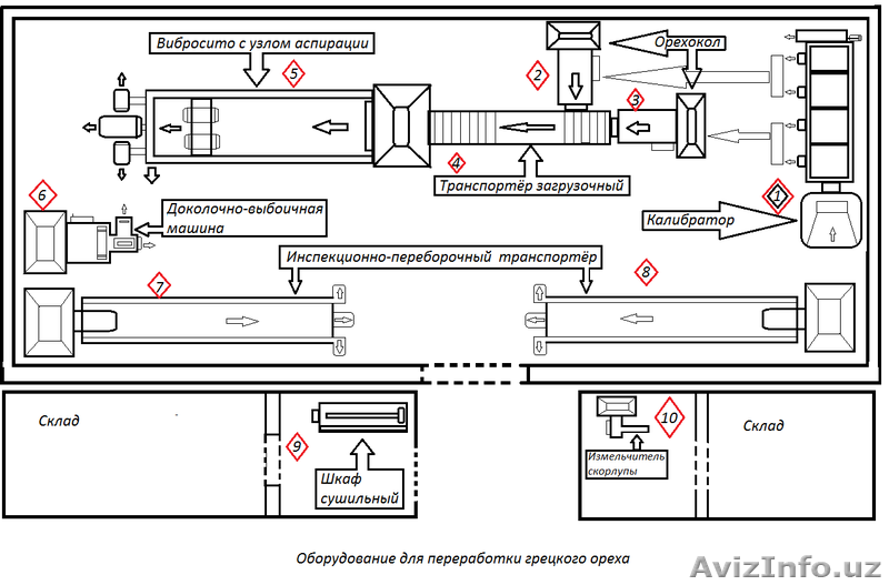 Оборудование для переработки грецкого ореха - Изображение #4, Объявление #1375137