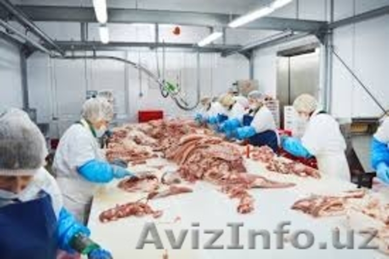 Работа  в Польше - Изображение #3, Объявление #1368738