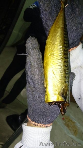 продаю рыбу холодного копчения (селёдка, скумбрия) - Изображение #3, Объявление #1366654