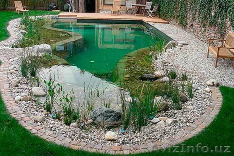 Газоны, озеленение, ландшафтный дизайн Ташкент - Изображение #3, Объявление #1375586