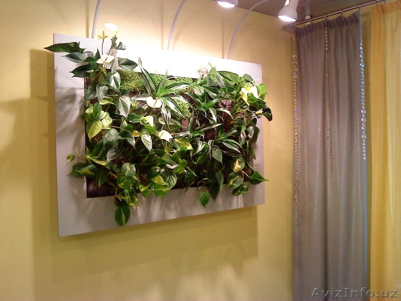 Продаются фитокартины с экзотическими растениями и цветами.Производства Голланди - Изображение #4, Объявление #1388320