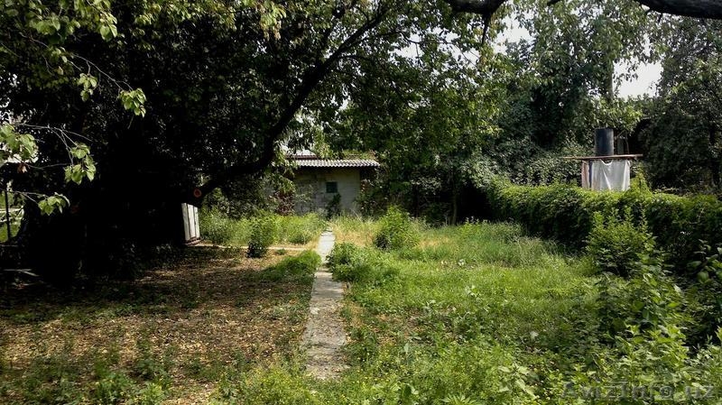 Срочно продаю свою дачу 6 соток г.Ташкент - Изображение #4, Объявление #1388990