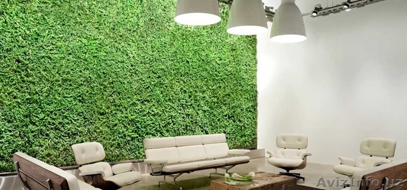 Продаются фитокартины с экзотическими растениями и цветами.Производства Голланди - Изображение #3, Объявление #1388320