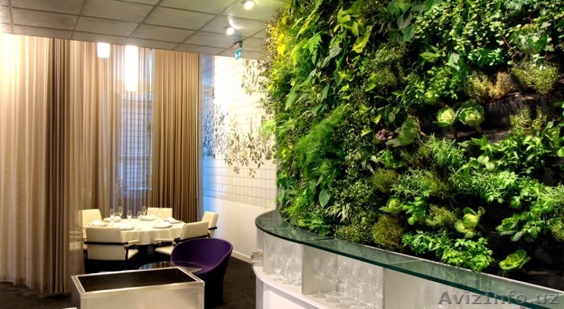 Продаются фитокартины с экзотическими растениями и цветами.Производства Голланди - Изображение #6, Объявление #1388320