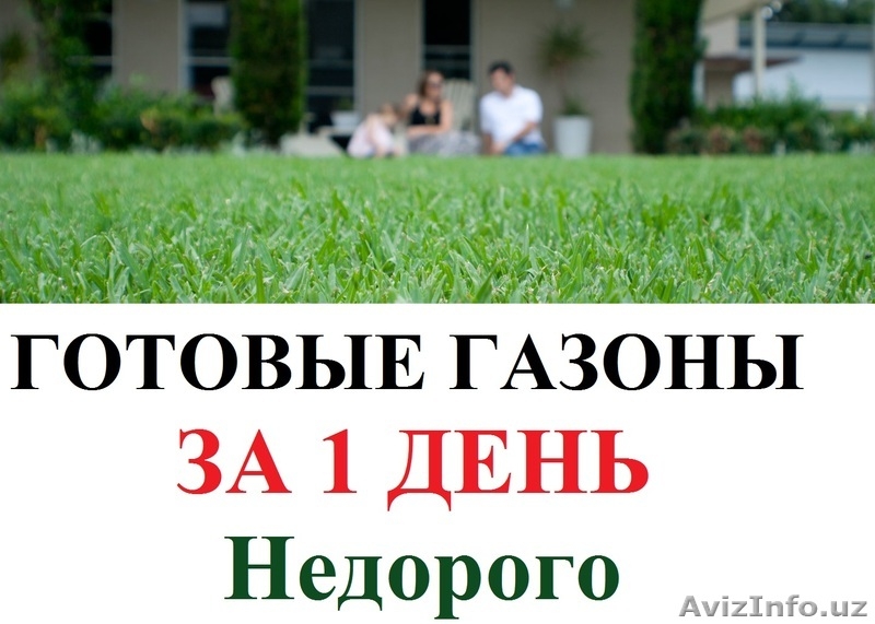 Газоны, озеленение, ландшафтный дизайн. — Посев газонов (Спорт, Master Sport, Tr - Изображение #3, Объявление #1401460