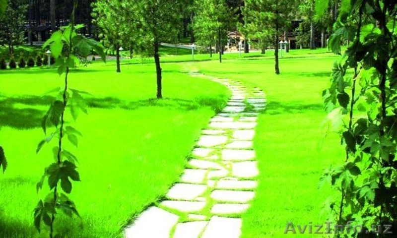 Дизайн, озеленение, спорт трава, парковый газон, Canada Green. Альпийские горки, - Изображение #3, Объявление #1404796