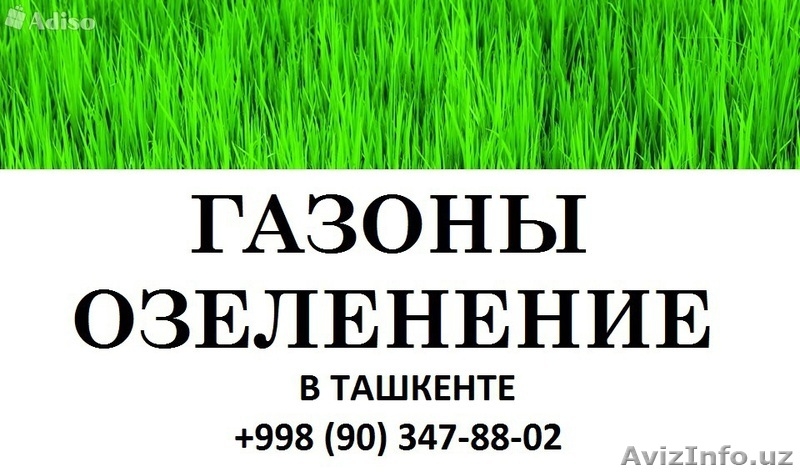Газоны. Озеленение. Дизайн. Гарантия качества! - Изображение #2, Объявление #1445865