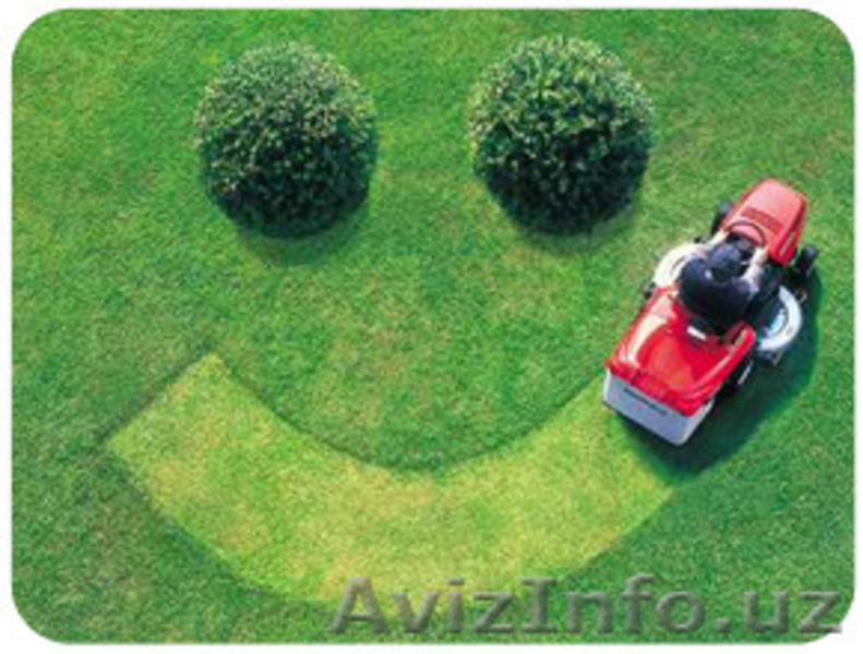 Газоны. Озеленение. Дизайн. Гарантия качества! - Изображение #1, Объявление #1445865