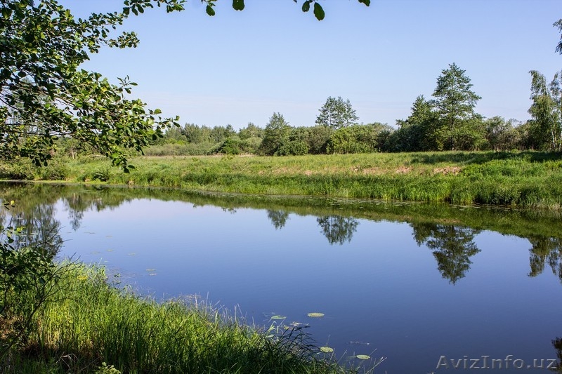 Проадается база отдыха - Изображение #3, Объявление #1448822