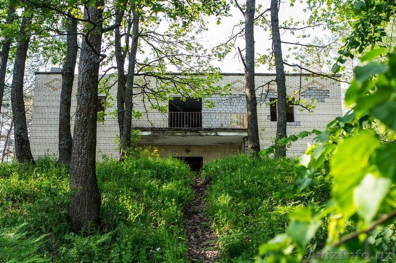 База отдыха в лесу у реки рядом с Бобруйском - Изображение #3, Объявление #1448821