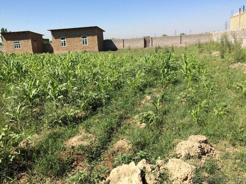 Продам участок в раёне Куйлук. Quyluq tumanidan yer sotaman. Narxini kelishamiz. - Изображение #3, Объявление #1467753