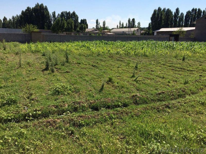 Продам участок в раёне Куйлук. Quyluq tumanidan yer sotaman. Narxini kelishamiz. - Изображение #5, Объявление #1467753