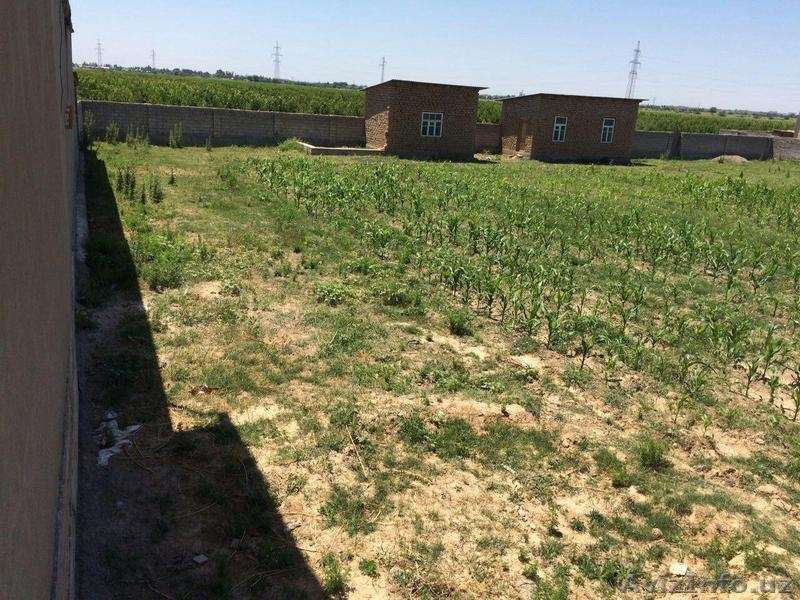 Продам участок в раёне Куйлук. Quyluq tumanidan yer sotaman. Narxini kelishamiz. - Изображение #7, Объявление #1467753