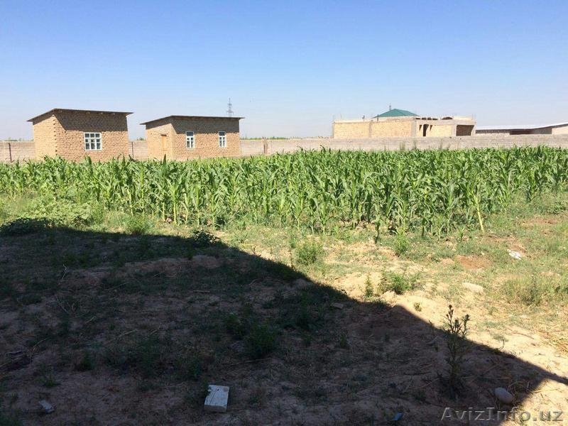 Продам участок в раёне Куйлук. Quyluq tumanidan yer sotaman. Narxini kelishamiz. - Изображение #8, Объявление #1467753