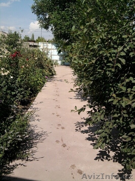 Продам дом недорого! - Изображение #3, Объявление #1469356