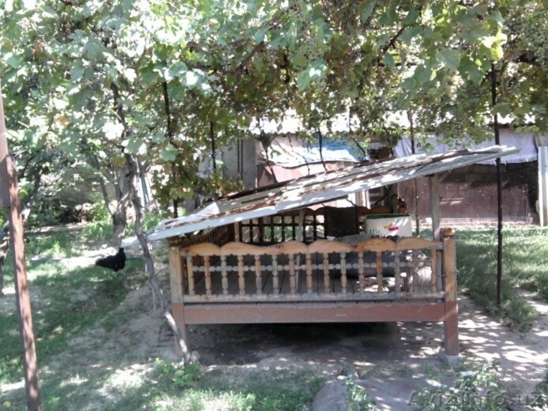 Продам дом недорого! - Изображение #5, Объявление #1469356