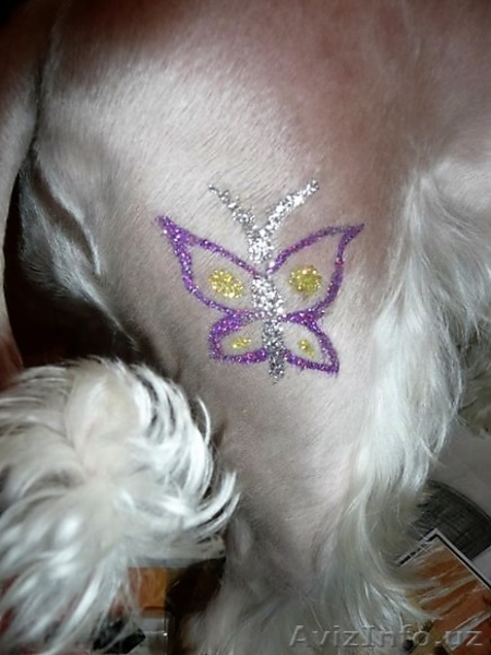 Блеск тату,cтрижка кошек и собак! - Изображение #8, Объявление #1478514