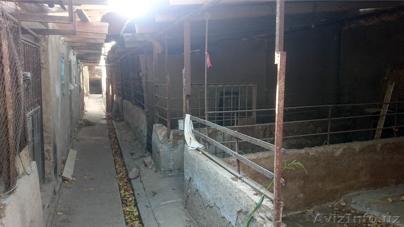 Продается дом с обстановкой - Изображение #3, Объявление #1374567