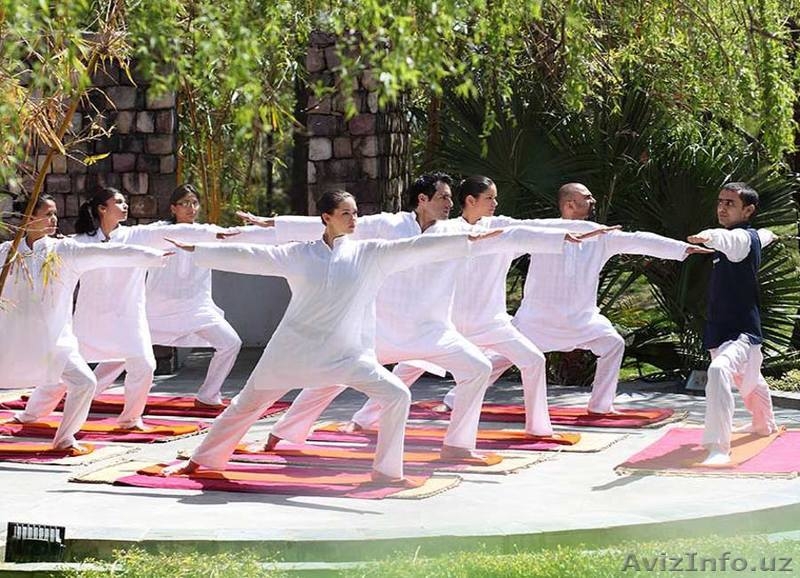 ЛЕЧЕБНЫЙ ТУР В ИНДИИ. Аюрведа Программа – Aнти старение - Изображение #4, Объявление #1492335